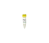 Zymo Research D5325-5-2 Positive Control, 100 ng/µl