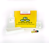 Zymo Research D5326 5-mC DNA ELISA Kit, 2 x 96 Preps