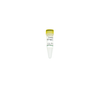 Zymo Research D5425-5-4 Control D (100 ng/ul), 40 µl