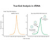 Zymo Research D5464 Zymo-Seq SPLAT DNA Library Kit, 12 Preps