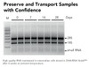 Zymo Research R1200-25 DNA/RNA Shield (2X Concentrate), 25 mL