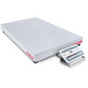OHAUS 30467621 Defender 5000 Bench Scale D52XW125RTV5, 250 lb x 0.01 lb, 31.5 x 23.6 in Platform