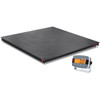 OHAUS 30716508 Defender 3000 Floor Scale i-DF33P5000B1X, 5,000 lb x 1 lb, 5 x 5 ft Platform, Plastic Indicator