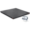 OHAUS 30837698 Defender 5000 Floor Scale i-DF52P2500B1L, 2,500 lb x 0.5 lb, 4 x 4 ft Platform, Plastic Indicator