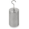 OHAUS 30390789 ASTM Class 7 ECON HTO Hook Weight, 100 g, Two-Piece, No Certificate