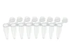 MTC Bio SLT-SQ-96-PTFE PTFE-Coated Silicone Sealing Mat