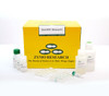 Zymo Research Quick-RNA™ MiniPrep Kit | Rapid DNA-Free Total RNA Isolation Including Small RNAs | Cells & Soft Tissue | DNase I Included | 200 Preps | Cat # R1055