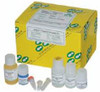 Zyppy™ Plasmid Miniprep Kit, 400 preps
