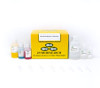 ZR Plasmid Miniprep - Classic, 100 preps