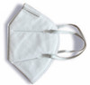 KN95 Face Mask, 1 ea.