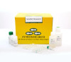 Quick-RNA™ MicroPrep Kit (200 Preps) w/Zymo-Spin™ IC Columns (Capped)