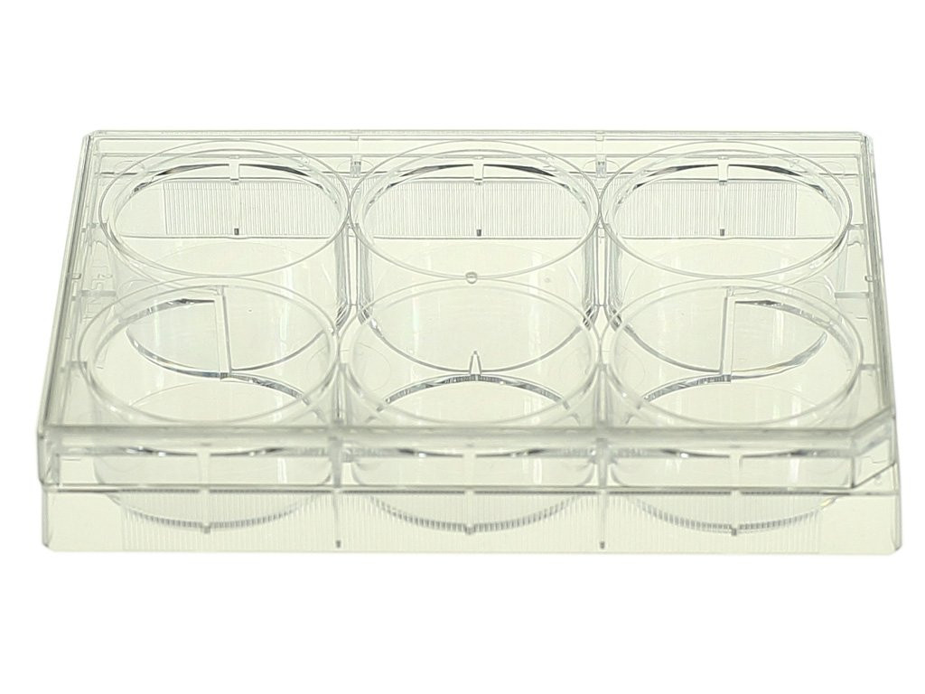 NEST 703011 6 Well Cell Culture Plate, Flat Bottom, Non-Treated, Sterile, Individually Wrapped, Peelable Film