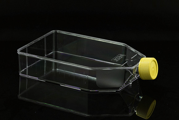 Cell Culture Flask