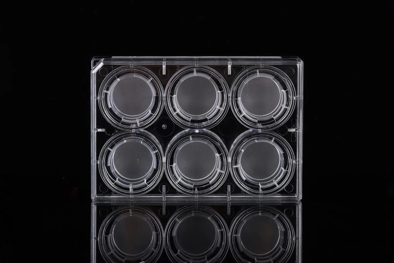 NEST 723331 Cell Culture Inserts, 8.0 µm PET Membrane, Transparent, Non-Treated, 6 Inserts with 6 Well Plate, Sterile