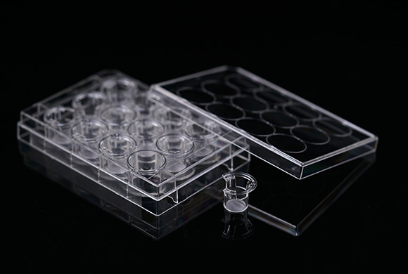 12 Inserts+12 Well Plate