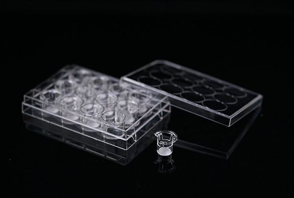 12 Inserts+12 Well Plate