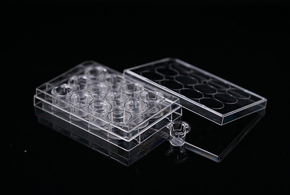 12 Inserts+12 Well Plate