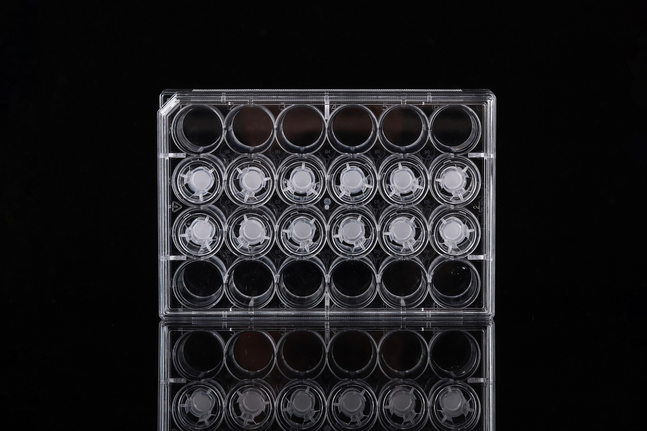 NEST 724431 Cell Culture Inserts, 1.0 µm PET Membrane, Opaque, Non-Treated, 12 Inserts with 12 Well Plate, Sterile