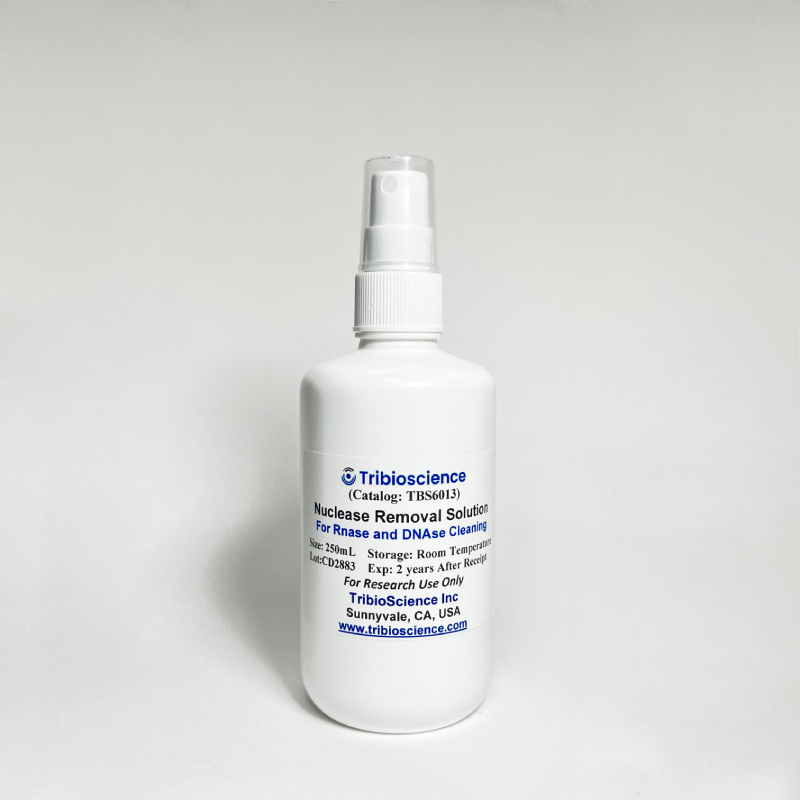 Nuclease Removal Solution for RNase and DNase Cleaning, 250ml Bottle