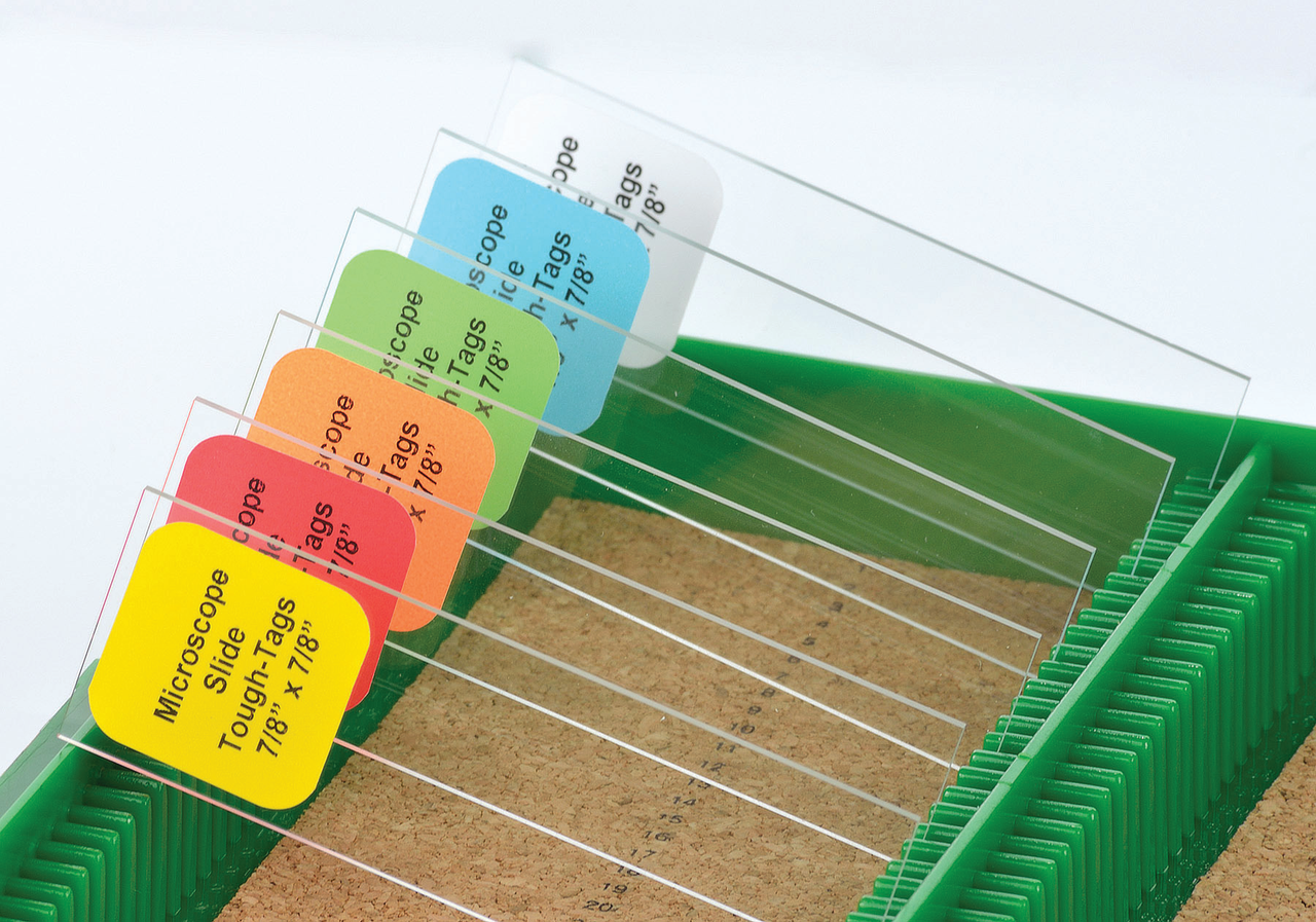 Microscope Slide Tough-Tags® 7/8" x 7/8"  2,400/pk Red