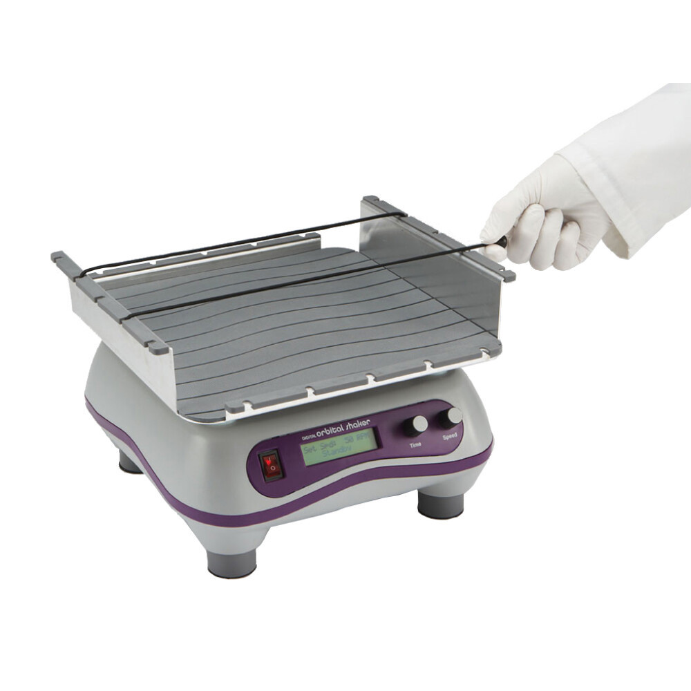 Digital Orbital Shaker Replacement Bungee Cords, Black