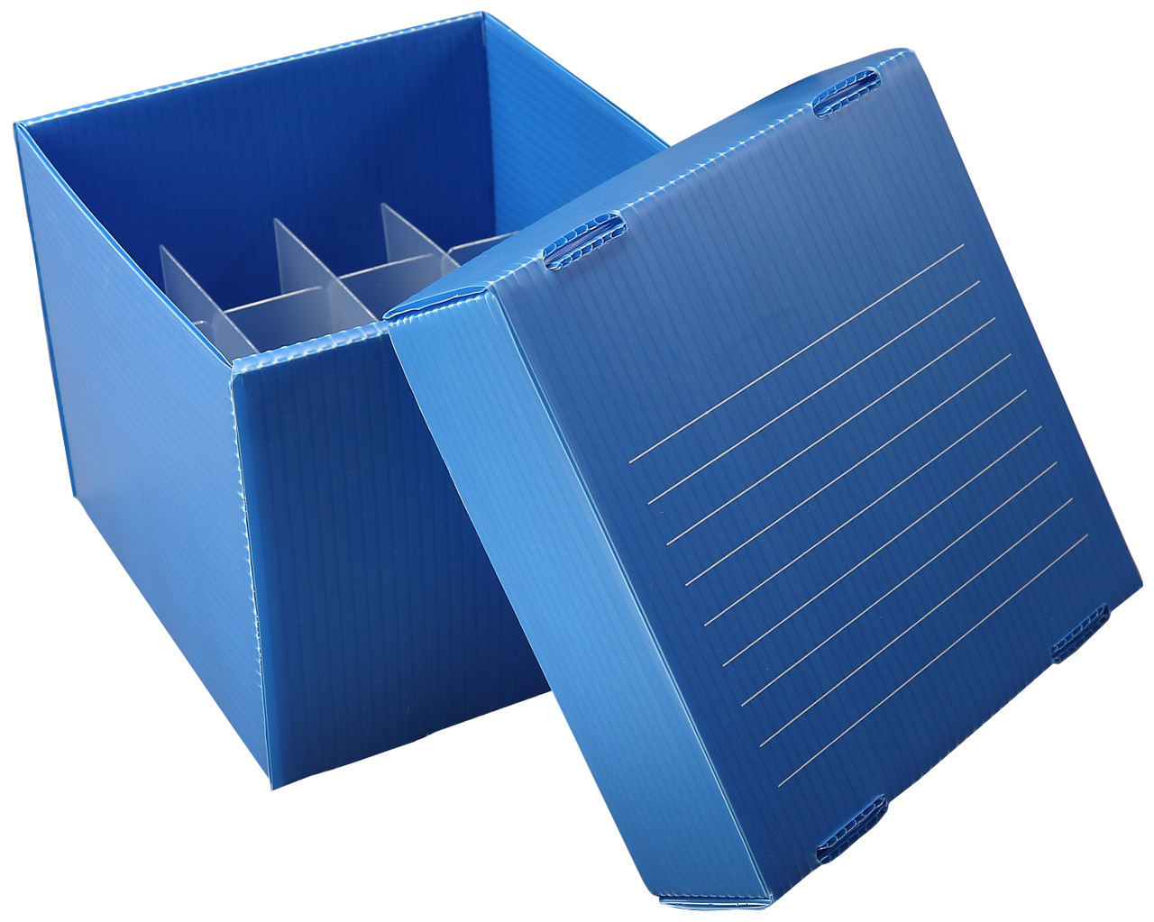 Corrugated Polypropylene Cryogenic Freezer Box, 50mL, 16-Place, Blue