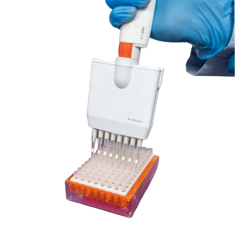 PCR Transfer Tray, Natural, 5/PK