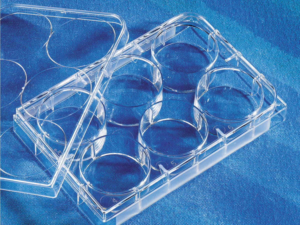 Costar 3516 6-Well TC-Treated Flat Bottom Cell Culture Plate with Lid, Sterile, Individually Wrapped (50/Case)
