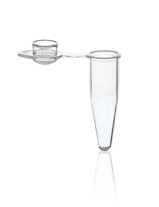 BRAND 781300 PCR Single Tubes, PP, 0.2 ml, transparent