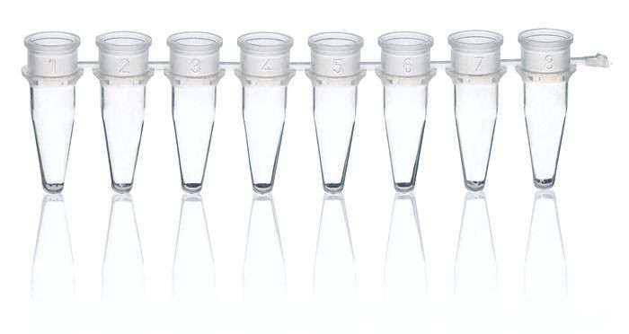 BRAND 781317 PCR Tube Strips, PP, 0.15 ml, Low Profile, white