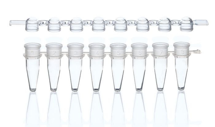 BRAND 781327 PCR Tube Strips, PP, 0.2 ml, standard, transparent