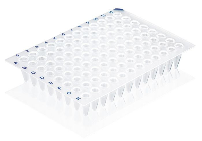 BRAND 781366 PCR plate 96-well, PP, 0.15 ml, Low Profile, transparent