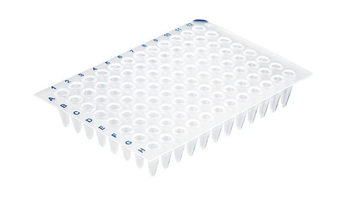 BRAND 781368 PCR plate 96-well, PP, 0.2 ml, standard, transparent