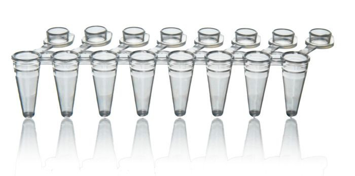 BRAND P1100 PCR Tube Strips, PP, 0.15 ml, Low Profile, clear