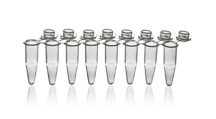 BRAND P1300 PCR Tube Strips, PP, 0.2 ml, standard, clear