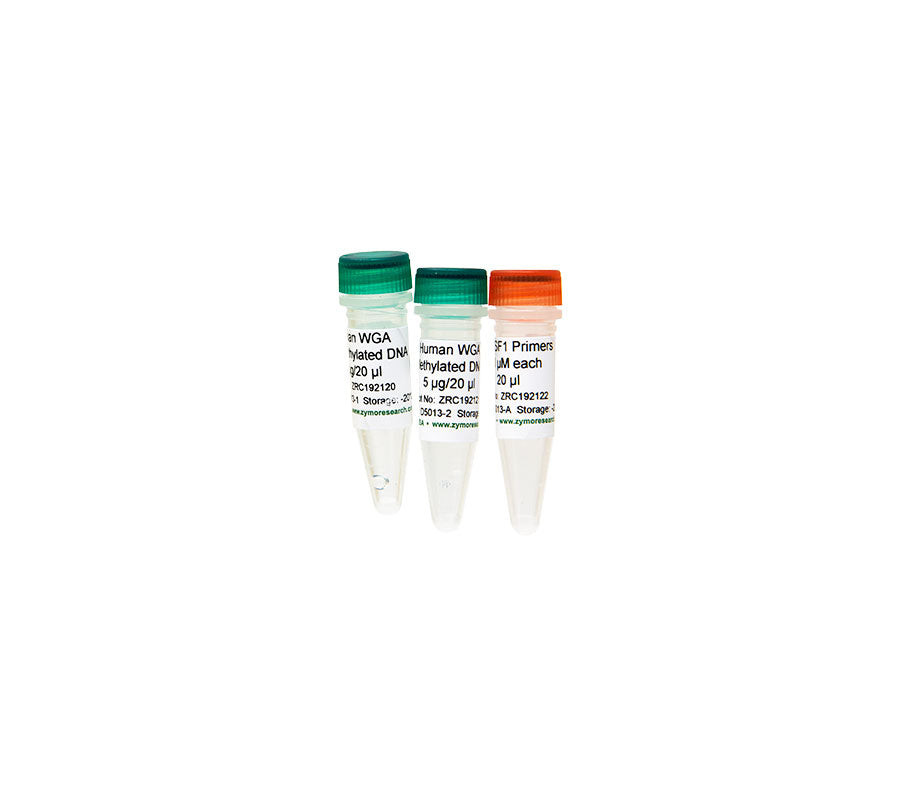 Zymo Research D5013-2 Human WGA Methylated DNA, 5 µg/20 µl