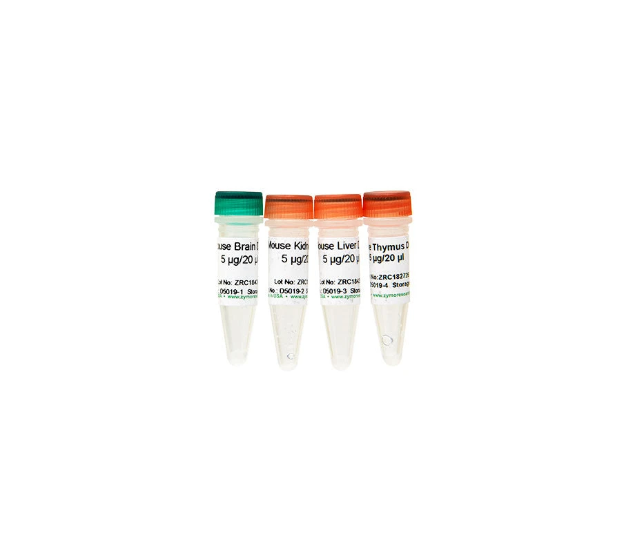 Zymo Research D5019-1 Mouse Brain DNA, 5 µg