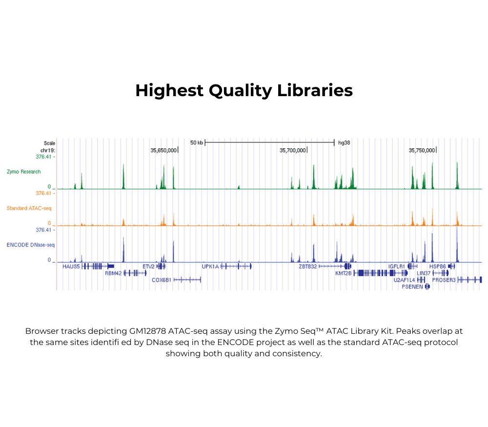 Zymo Research D5458 Zymo-Seq ATAC Library Kit, 12 Reactions