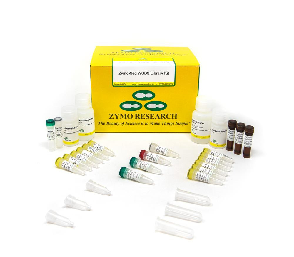 Zymo Research D5465 Zymo-Seq WGBS Library Kit, 24 Reactions