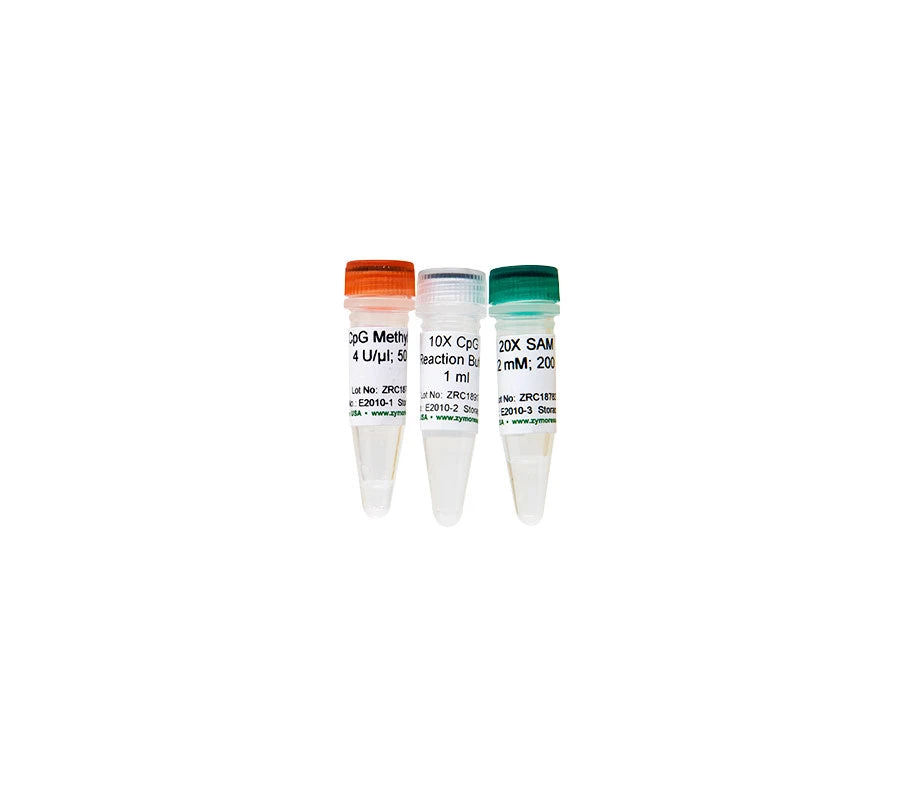 Zymo Research E2010 CpG Methylase (M. Sssl), 200 U