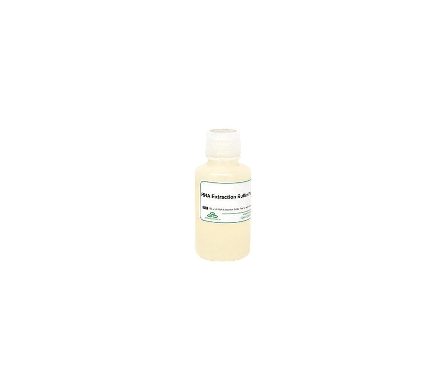 Zymo Research R1038-1-50 RNA Extraction Buffer Plus, 50 mL