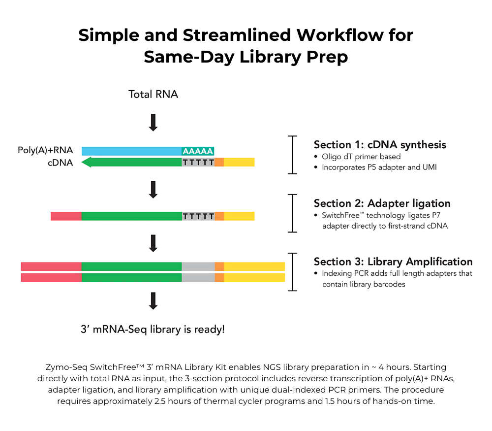 Zymo Research R3008 Zymo-Seq SwitchFree 3′ mRNA Library Kit, 12 Preps