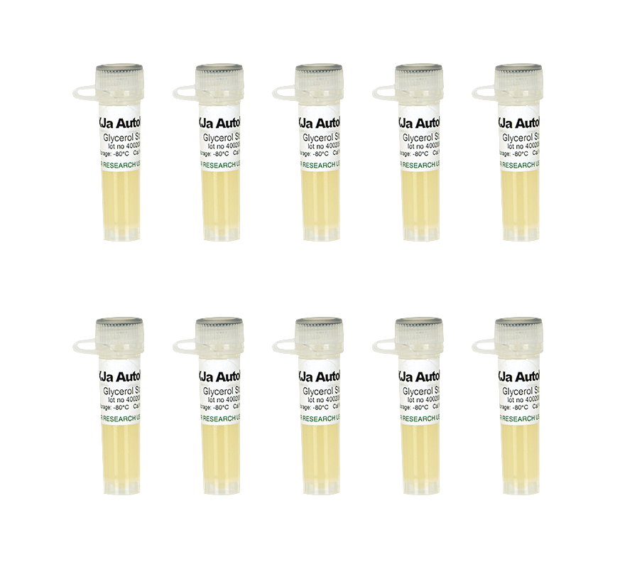 Zymo Research T3021 Mix & Go! Competent Cells - XJa Autolysis, 10 x 100 µl