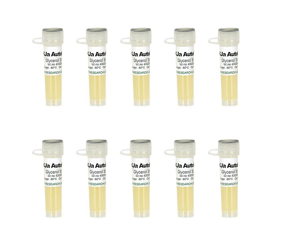 Zymo Research T3031 Mix & Go! Competent Cells - XJa(DE3) Autolysis, 10 x 100 µl