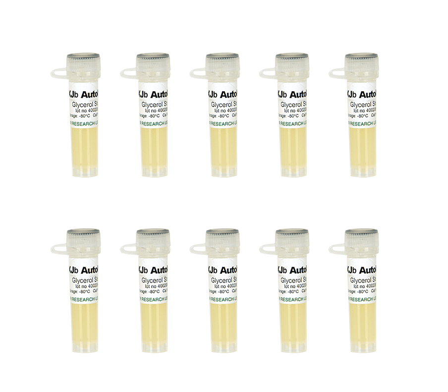 Zymo Research T3051 Mix & Go! Competent Cells - XJb(DE3) Autolysis, 10 x 100 µl