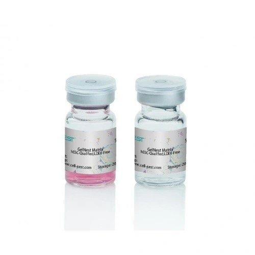 NEST 211222 GelNest Basement Membrane Matrix, Standard, Phenol Red-Free, LDEV-Free, 5 mL, Bottle