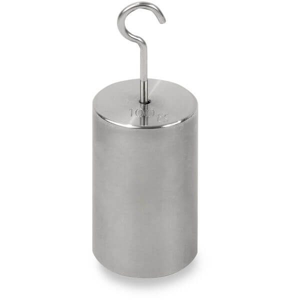 OHAUS 30390789 ASTM Class 7 ECON HTO Hook Weight, 100 g, Two-Piece, No Certificate