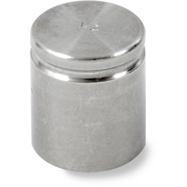 OHAUS 83040848 ASTM Class 5 One-Piece Cylindrical Test Weight, 1/2 oz, No Certificate