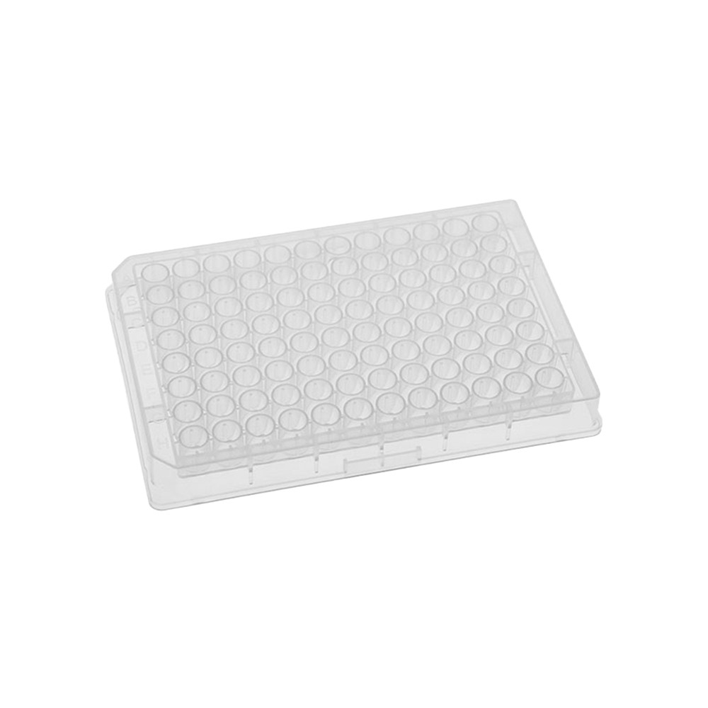 MTC Bio DP110F-384-W 384 Square Well Assay Plate
