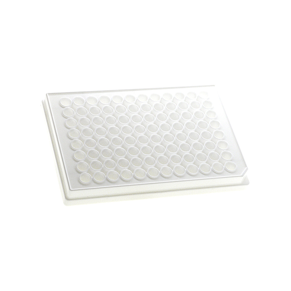 MTC Bio DP09US-9-NS 96 Square Deep Well Plate